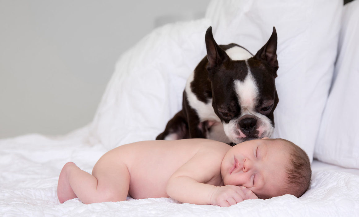 newborn and pet photographer in northport ny taking picture of newborn